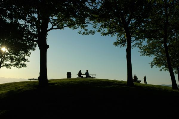 Couple sitting on bench on a tree-lined hill